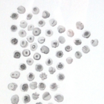 タイムカプセル L2