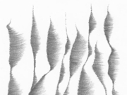 風に流されて [2012]