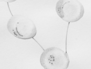 星への興味 [2012]