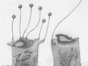 星に祈る(1) [2012]