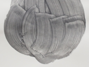 考える植物 [2012]