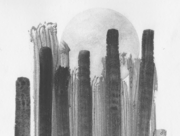 壁の向こうに見える月 [2013]