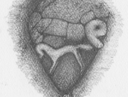 発掘された白馬 [2013]