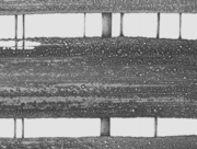 方舟(はこぶね) [2012]