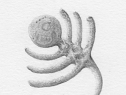 2012_12-01_Outtake [2012]