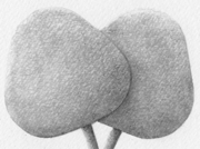 2012_12-03_Outtake [2012]