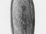 想い出の品 [2013]