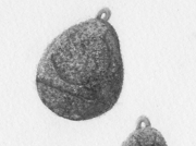 鈴のような音が聞こえた気がした [2013]