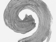 痩せた犬の視る悪夢 [2013]