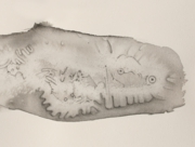 RadioWave／星への旅(1) [2007]