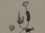 希望の塔2007 [2007]