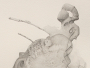 沈没船／水中考古学(2) [2007]