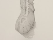 沈没船／水中考古学(3) [2007]