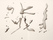 鳥を目指す玩 -2007_1 [2007]