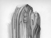 ドルイド：オークの森の賢者 (2) [2006]