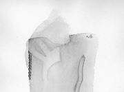 ドルイド：オークの森の賢者 (4) [2006]