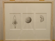 考古学史料 [2006]