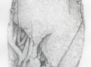 北の考古学 [2006]