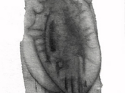 磁力/飛行機械2c [2006]