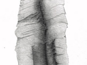 磁力/飛行機械2d [2006]