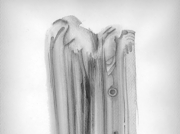 ドルイド：オークの森の賢者 (1) [2006]