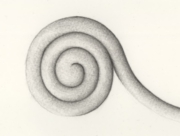 よくはわからないけれど [2008]