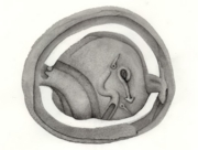 ねじれた羅針盤 [2008]