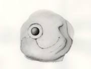 眠らない鳥のための変奏曲(4) [2008]