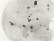 天体観測１ [2008]