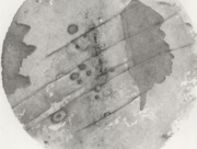 天体観測３ [2008]