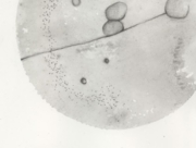 天体観測４ [2008]