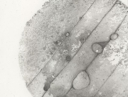 天体観測７ [2008]