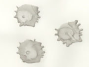 こどもたちのために [2008]