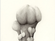 何らかの植物 2008 May 02 [2008]