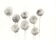 何らかの植物 2008 May 03 [2008]