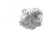 それでも森は甦る [2008]