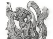 森が、壊れてゆく [2008]