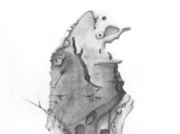 鳥の言語で [2008]