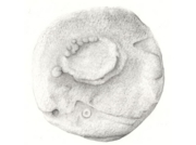 天体観測 2008_10月 [2008]