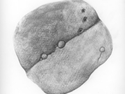 ひとが歩いた跡 (07) [2009]