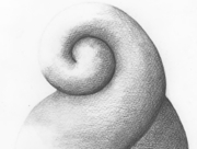 何らかの植物 2009 Mar [2009]