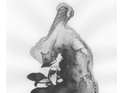 枯葉の女王 [2009]