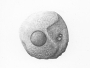 ひとが歩いた跡 (10) [2009]