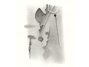 タンギーに捧ぐ [2009]