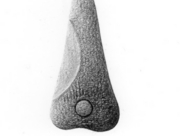 ひとが歩いた跡 2009 June(C) [2009]