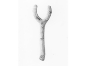 ひとが歩いた跡 2009 June(R) [2009]