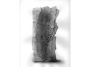 RadioWave／星への旅 2009 [2009]