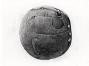 惑星からの報告 2009 (1) [2009]