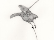 騎士道(右) [2009]