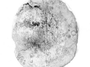 胡桃(くるみ)の中の世界 [2009]